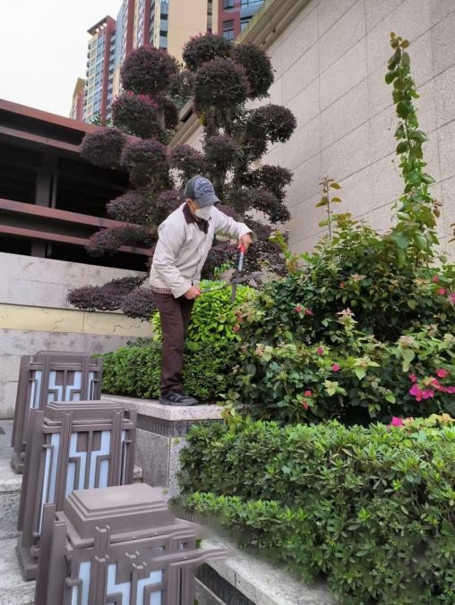 绿化养护